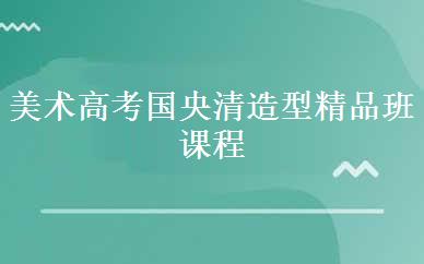 美术高考国央清造型精品班课程
