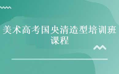 美术高考国央清造型培训班课程