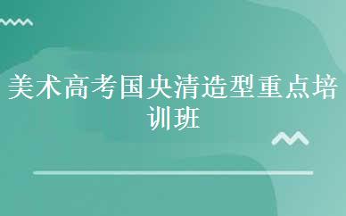 美术高考国央清造型重点培训班