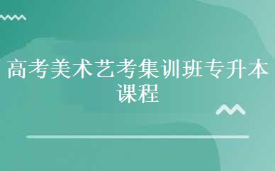 高考美术艺考集训班专升本课程