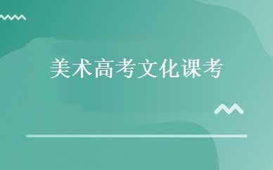 美术高考文化课考