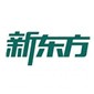 深圳新东方英语学校