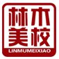 大连林木美术