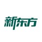 东莞新东方英语
