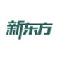 北京新东方考研