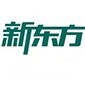青岛新东方考研