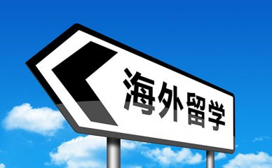 西安博大教育学费解析2024：投资价值一览