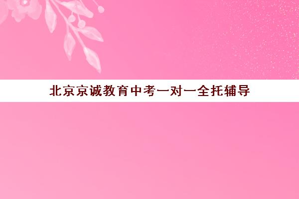 北京京诚教育中考一对一全托辅导，2025年招生简章一览表