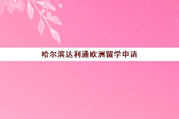 哈尔滨达利通欧洲留学申请 哈尔滨达利通欧洲留学申请