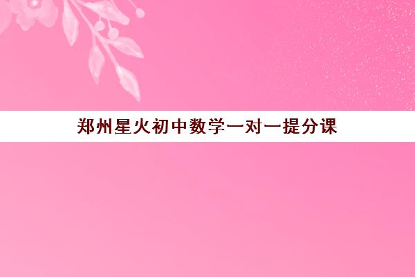 郑州星火初中数学一对一提分课 郑州星火初中数学一对一提分课