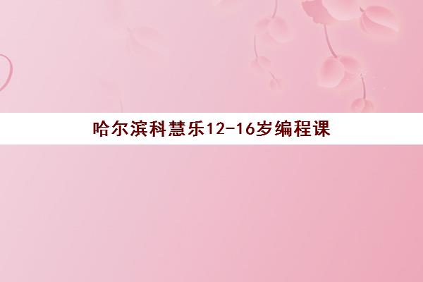 哈尔滨科慧乐12-16岁编程课 哈尔滨科慧乐12-16岁编程课