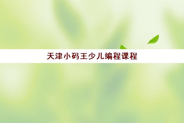 天津小码王少儿编程课程