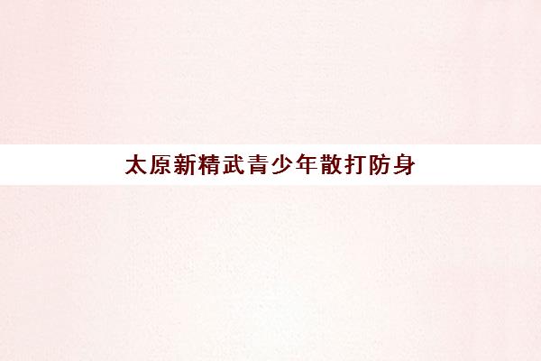 太原新精武青少年散打防身