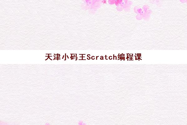 天津小码王Scratch编程课