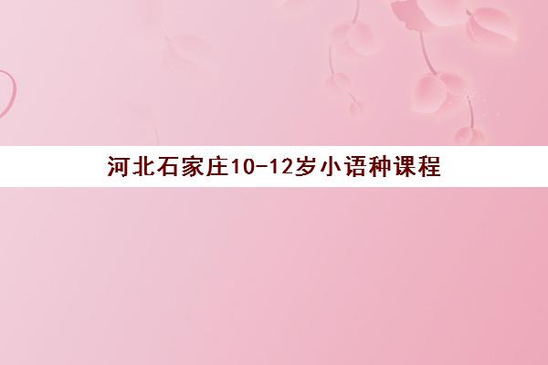 河北石家庄10-12岁小语种课程 河北石家庄10-12岁小语种课程