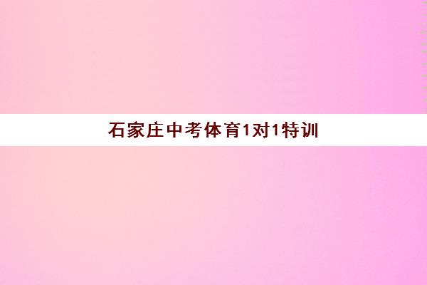 石家庄中考体育1对1特训