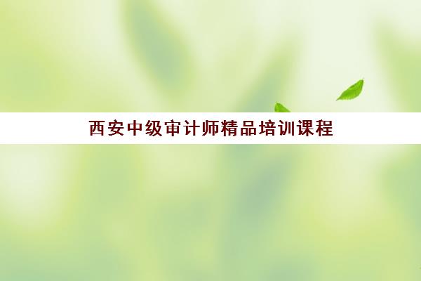 西安中级审计师精品培训课程