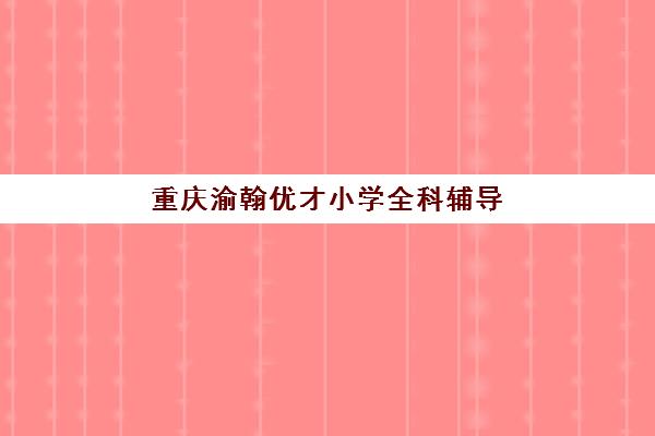 重庆渝翰优才小学全科辅导