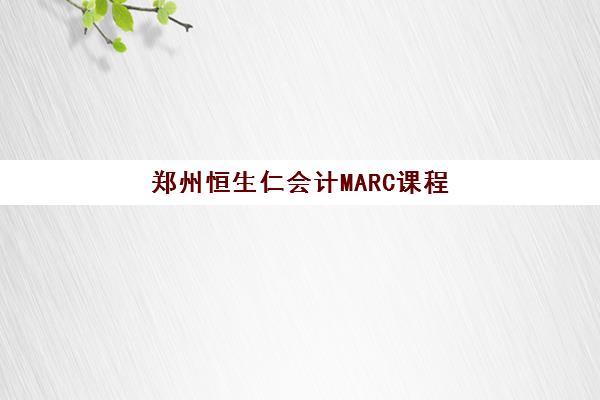 郑州恒生仁会计MARC课程