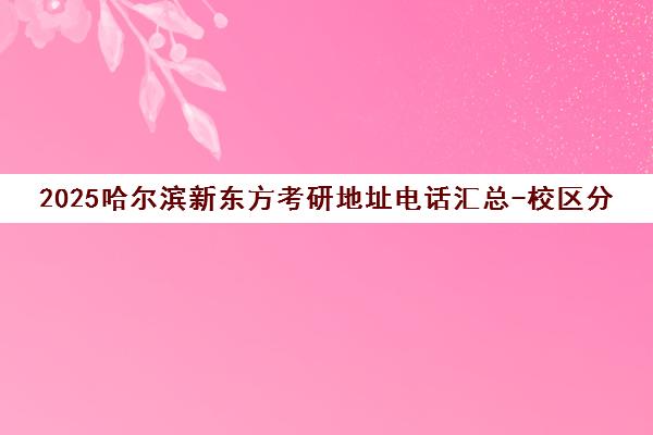 2025哈尔滨新东方考研地址电话汇总-校区分布及咨询热线