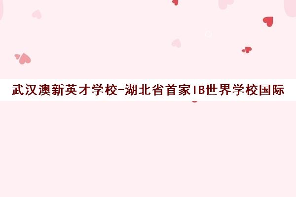 武汉澳新英才学校-湖北省首家IB世界学校国际教育