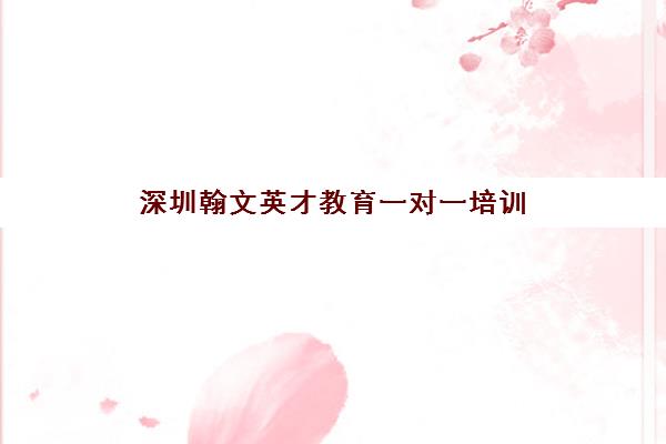 深圳翰文英才教育一对一培训 专注高考冲刺与艺考生文化课辅导