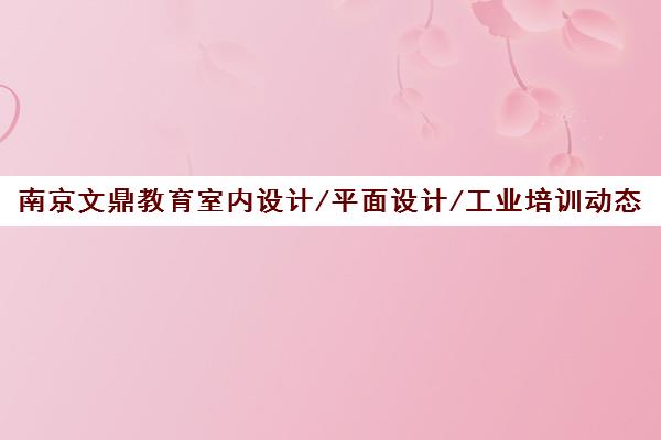 南京文鼎教育室内设计/平面设计/工业培训动态