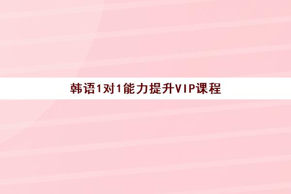 韩语1对1能力提升VIP课程 韩语1对1能力提升VIP课程