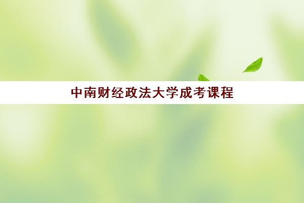 中南财经政法大学成考课程 中南财经政法大学成考课程