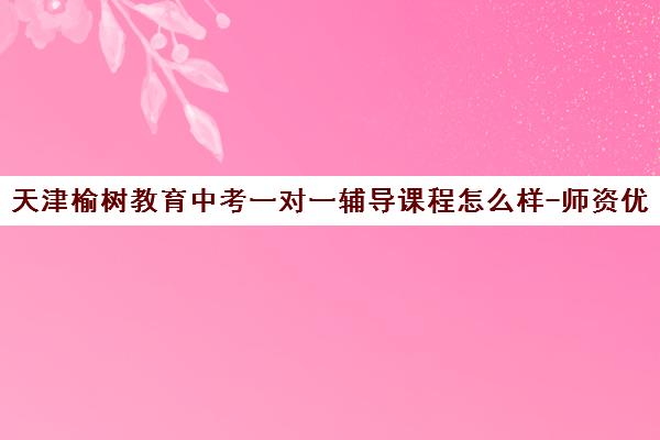 天津榆树教育中考一对一辅导课程怎么样-师资优势与学员评价