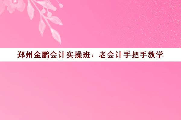 郑州金鹏会计实操班 老会计手把手教学 30天从零基础到独立做账