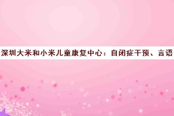 深圳大米和小米儿童康复中心 自闭症干预、言语治疗与感统专注力训练