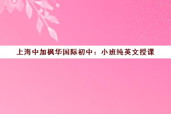 上海中加枫华国际初中 小班纯英文授课 BC课程打造国际化校园