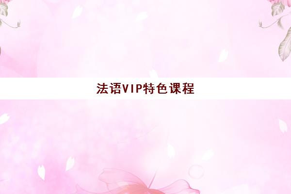 法语VIP特色课程 法语VIP特色课程