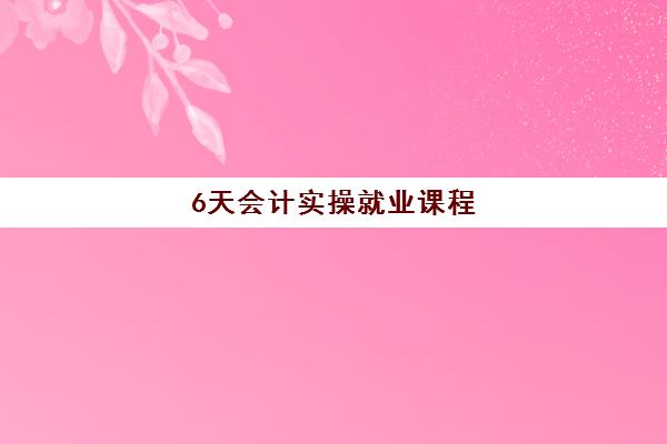 6天会计实操就业课程 6天会计实操就业课程
