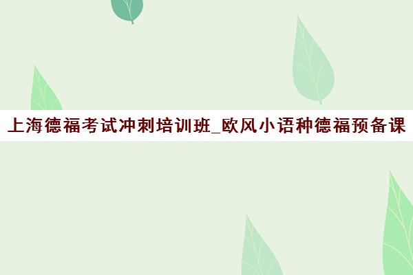 上海德福考试冲刺培训班_欧风小语种德福预备课程学费地址