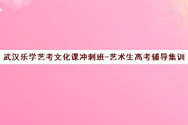 武汉乐学艺考文化课冲刺班-艺术生高考辅导集训营