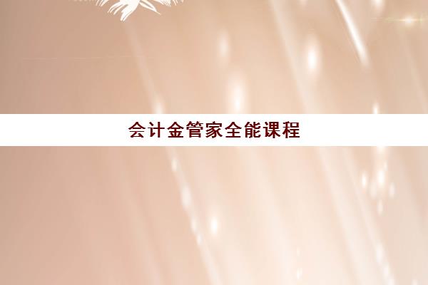 会计金管家全能课程 会计金管家全能课程