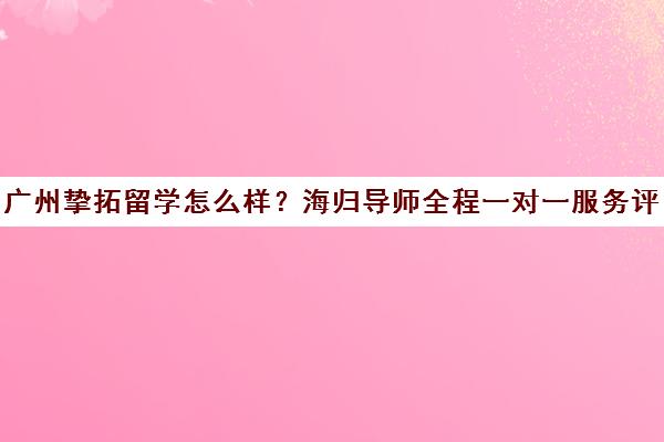 广州挚拓留学怎么样？海归导师全程一对一服务评测