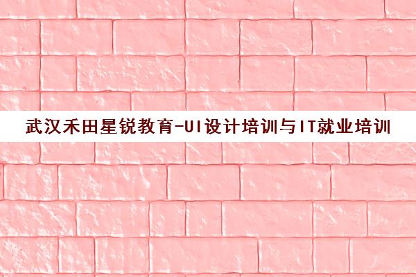 武汉禾田星锐教育-UI设计培训与IT就业培训机构