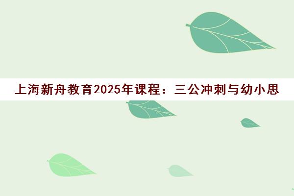 上海新舟教育2025年课程 三公冲刺与幼小思维能力提升