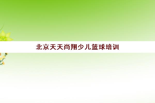 北京天天尚翔少儿篮球培训 - 专为6岁以上中国孩子设计的课程