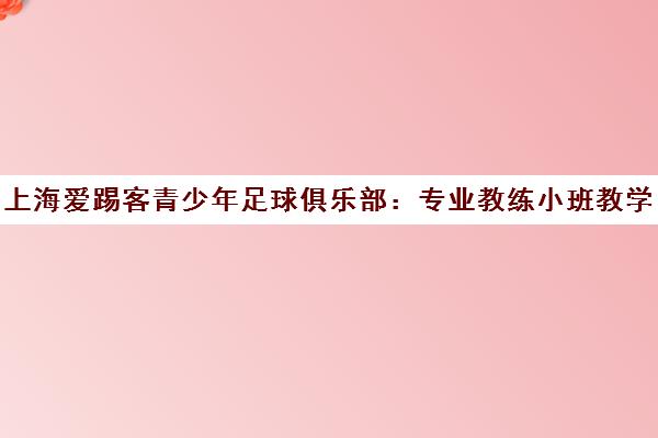 上海爱踢客青少年足球俱乐部 专业教练小班教学 家长真实评价