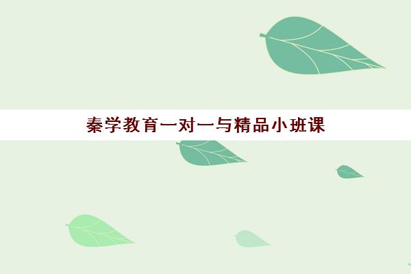 秦学教育一对一与精品小班课 助中高考快速提分逆袭