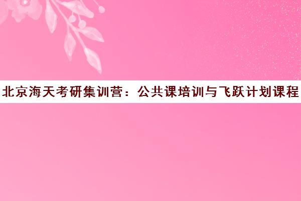 北京海天考研集训营 公共课培训与飞跃计划课程介绍