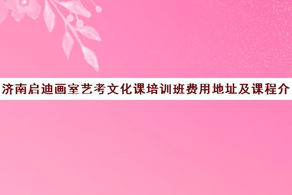 济南启迪画室艺考文化课培训班费用地址及课程介绍