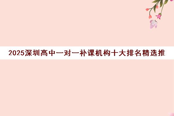2025深圳高中一对一补课机构十大排名精选推荐