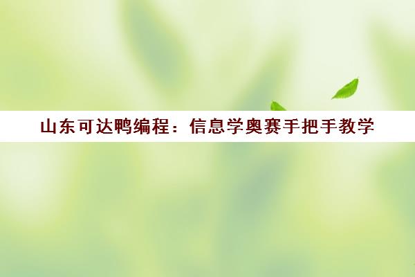 山东可达鸭编程 信息学奥赛手把手教学 小班授课