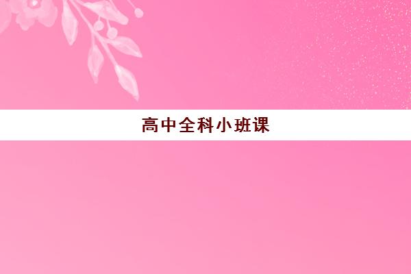 高中全科小班课 高中全科小班课