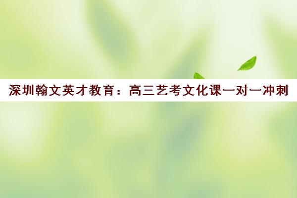 深圳翰文英才教育 高三艺考文化课一对一冲刺 个性化定制方案